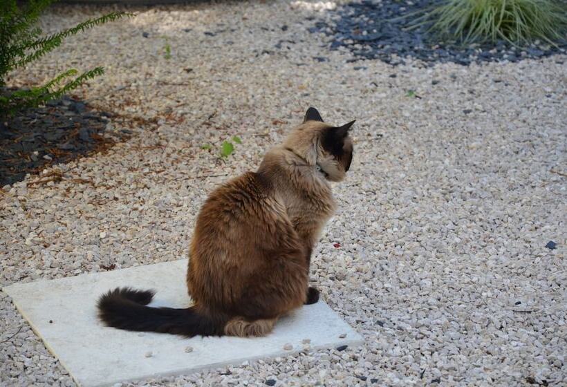 酒店 A La Villa Boucicaut