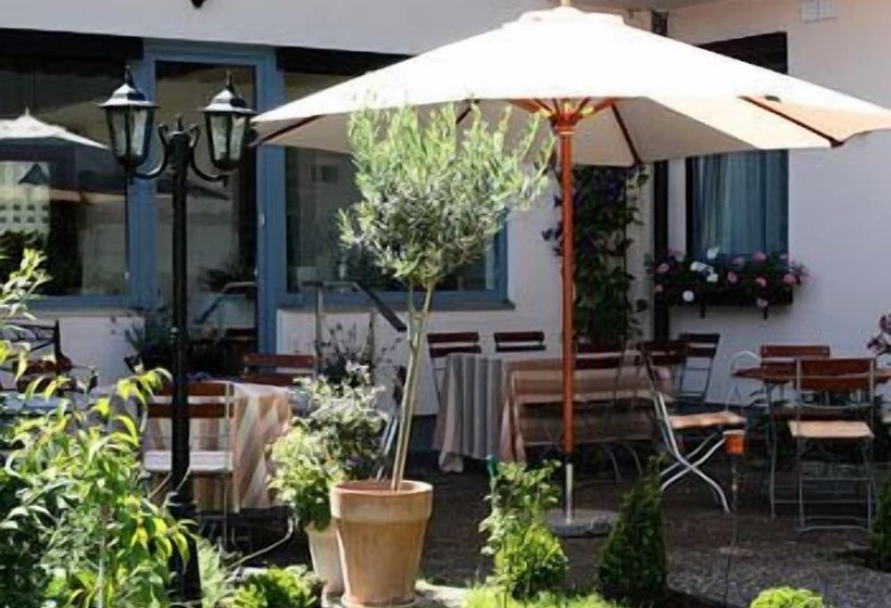 בית מלון כפרי Alpina