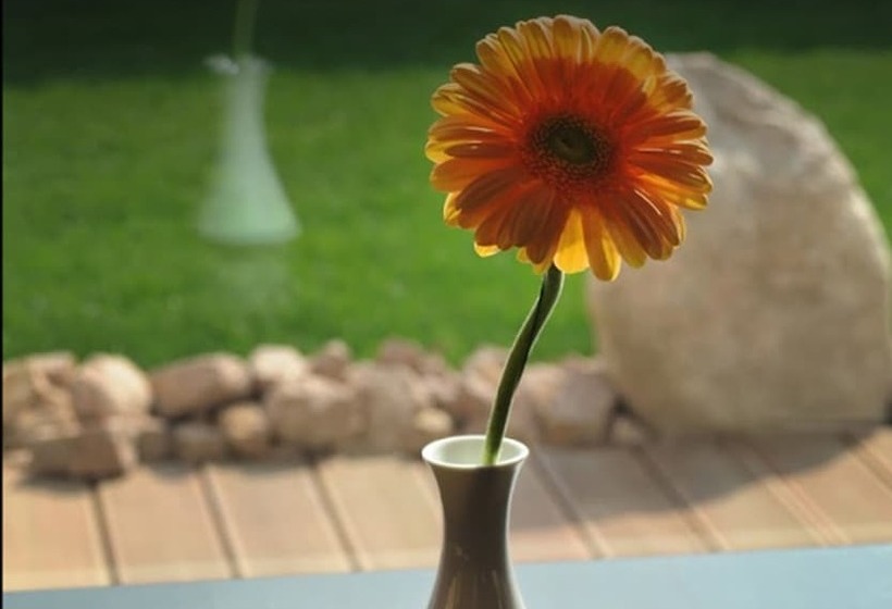 ホテル Atlas Halle