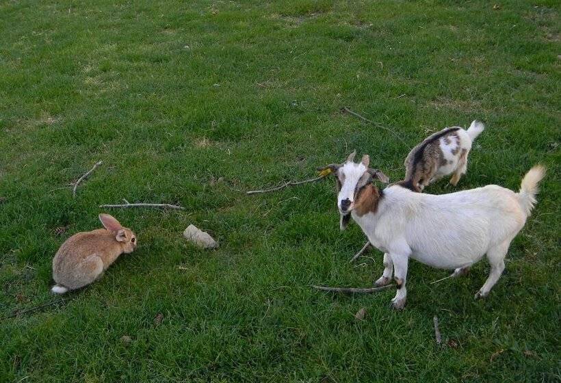 فندق Azienda Agrituristica Colle San Giorgio