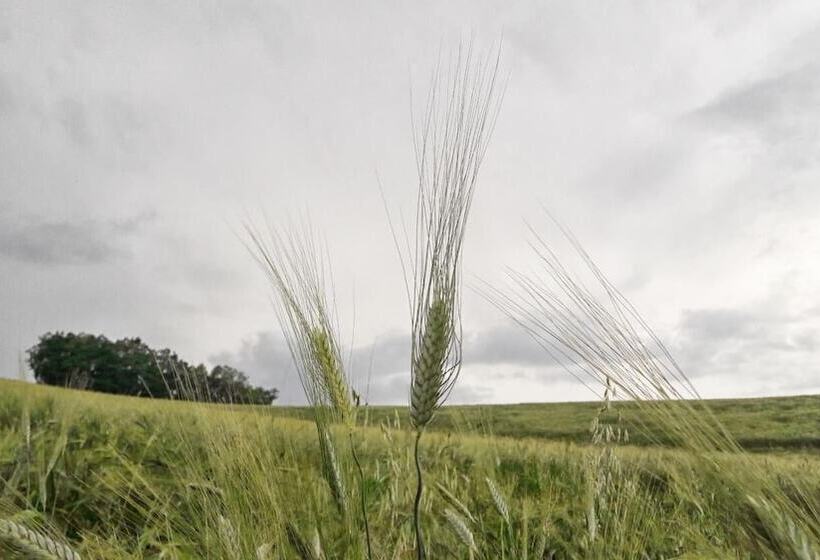 فندق Azienda Agrituristica Colle San Giorgio