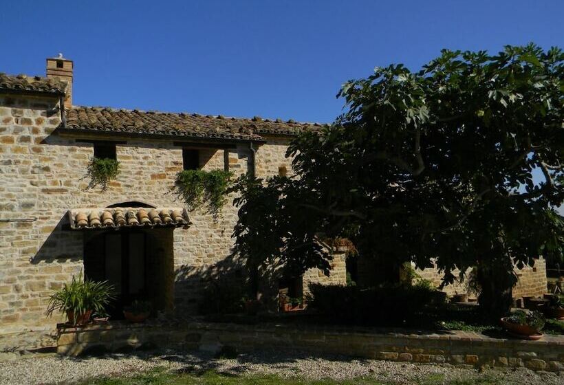 فندق Azienda Agrituristica Colle San Giorgio