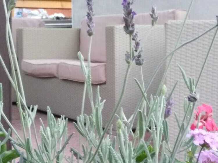 هتل Branca Ritamadre