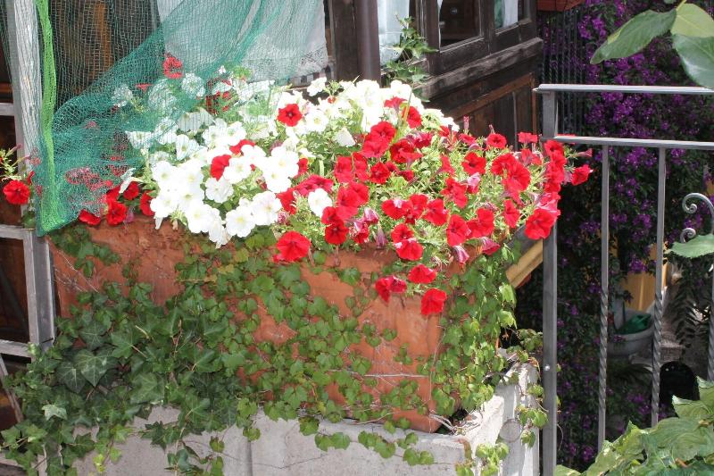 酒店 Centrale Bellagio