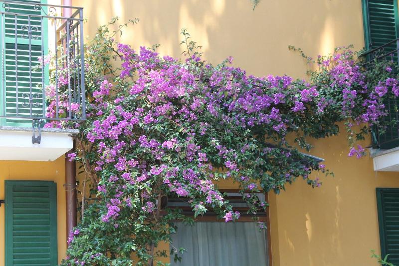 酒店 Centrale Bellagio