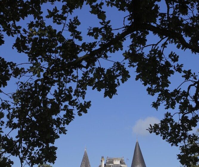 Отель Château De La Barbinière