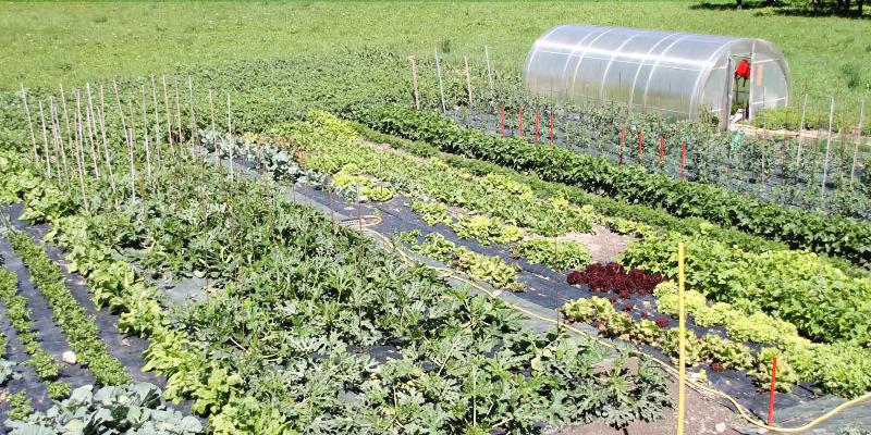 בית מלון כפרי Comtes De Challant Albergo Etico Valle D Aosta