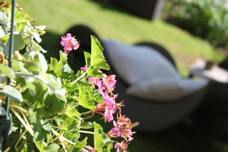 호텔 Logis Hôtel De La Chapelle