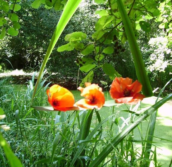 Отель Résidence De L Hostréière