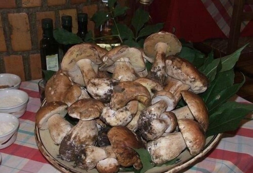 酒店 Duca Di Calabria