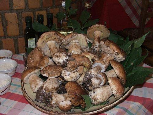 酒店 Duca Di Calabria