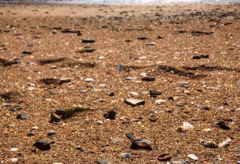 فندق Dunbrody Country House