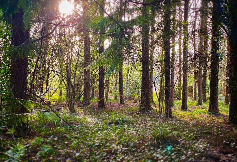 فندق Dunbrody Country House