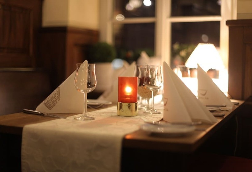 酒店 Goldener Falke