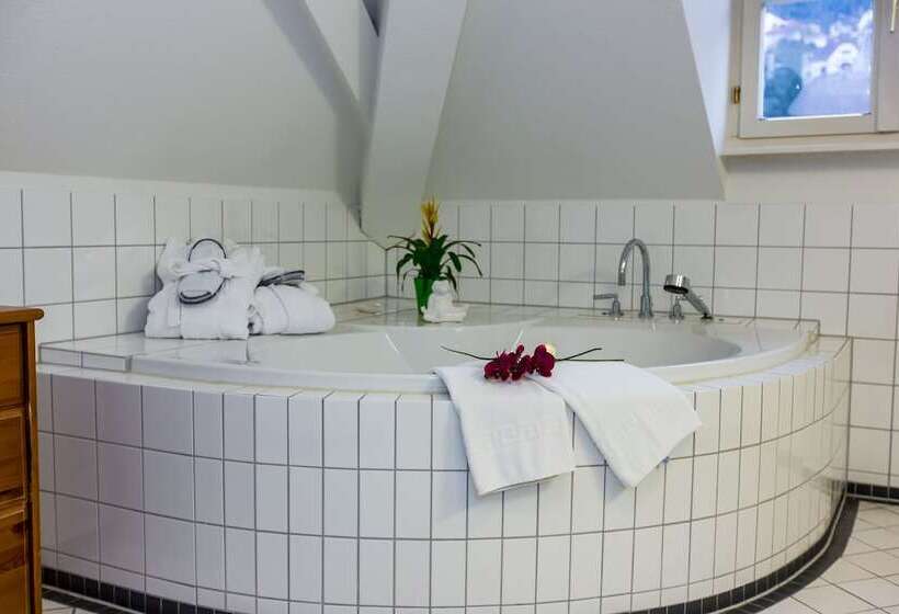 酒店 Goldener Falke