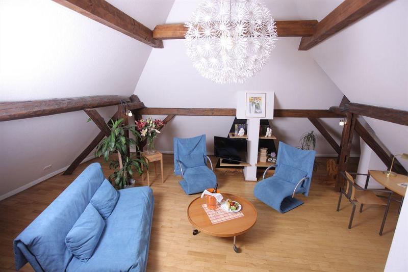 酒店 Goldener Falke