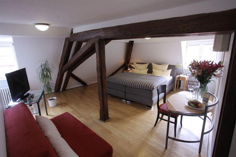 酒店 Goldener Falke