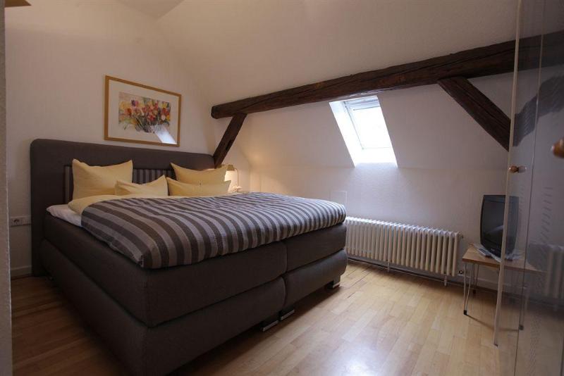 酒店 Goldener Falke