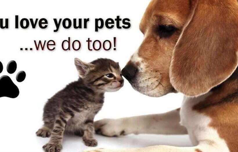 בית מלון כפרי Grot