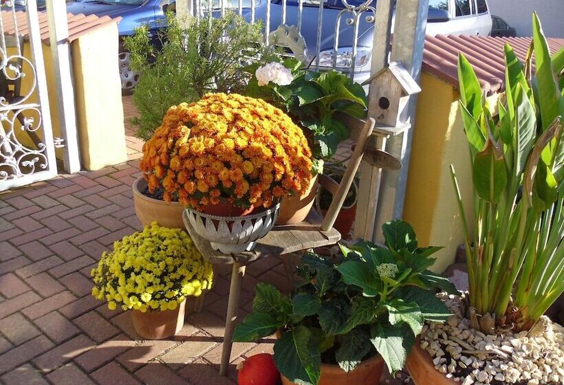 Отель & Gästehaus Im Ziegelweg Klimatisiert Eintrittskarten Für Den Europa Park Erhalten Sie Garanti