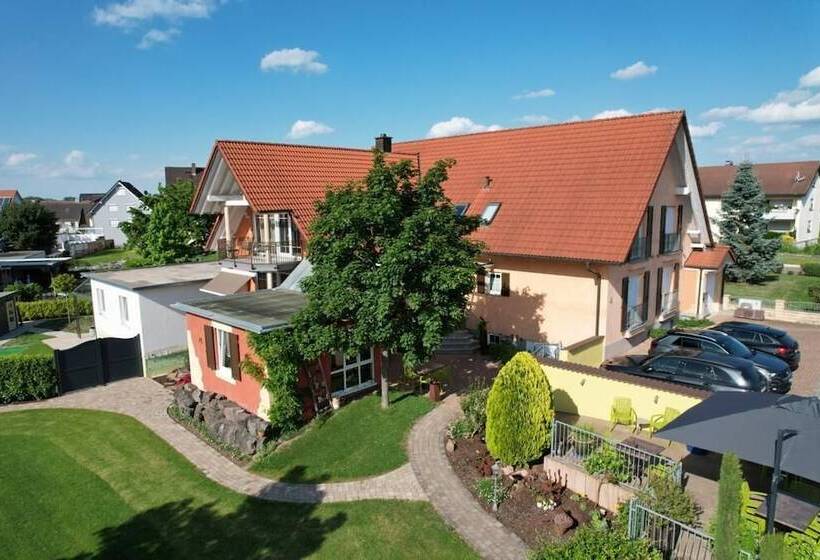 Отель & Gästehaus Im Ziegelweg Klimatisiert Eintrittskarten Für Den Europa Park Erhalten Sie Garanti