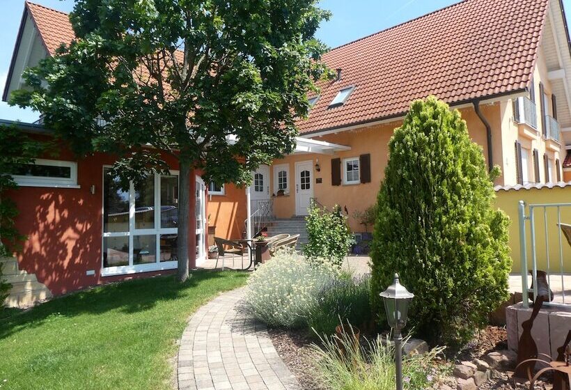 Отель & Gästehaus Im Ziegelweg Klimatisiert Eintrittskarten Für Den Europa Park Erhalten Sie Garanti