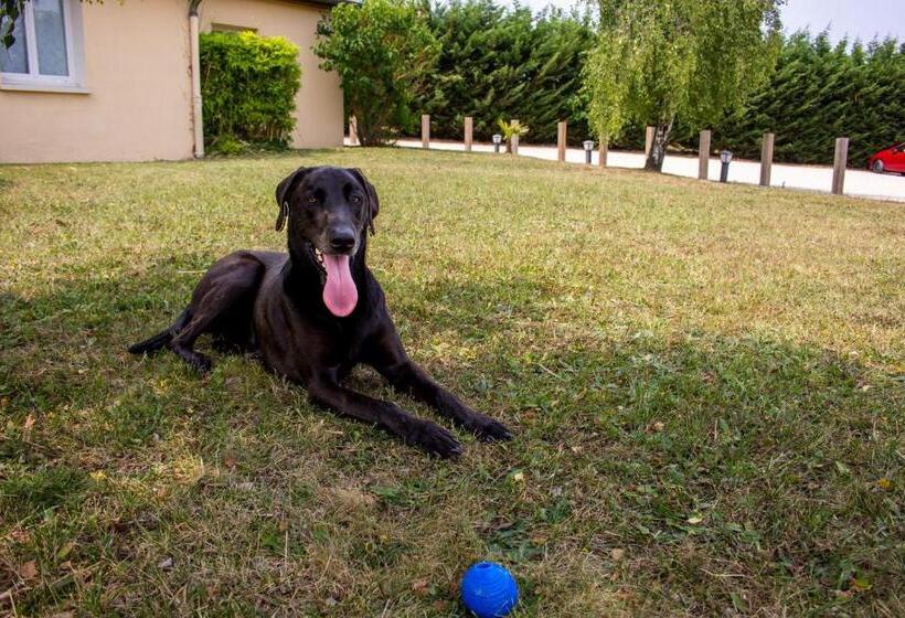 בית מלון כפרי Hapy