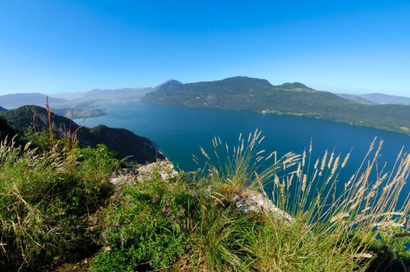 호텔 Hôtel Du Poète