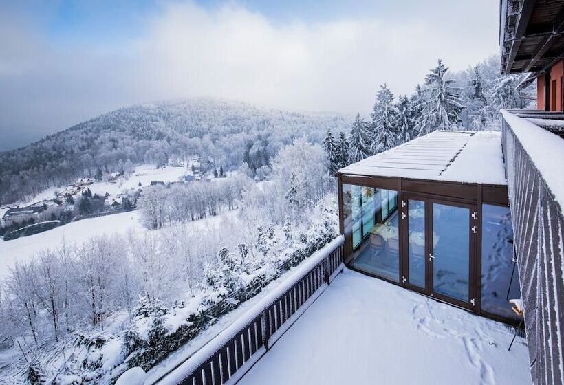 Отель Hubertusbaude