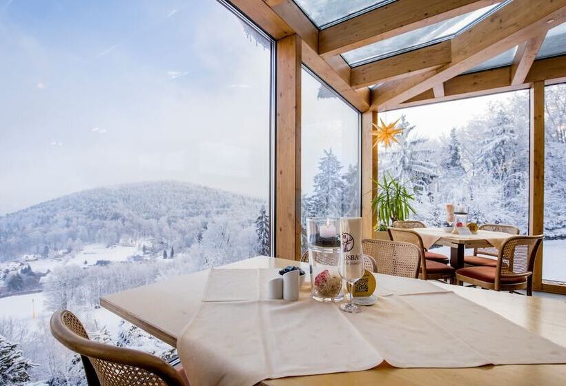 Отель Hubertusbaude