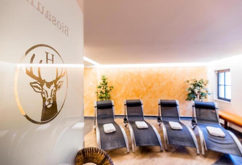 Отель Hubertusbaude