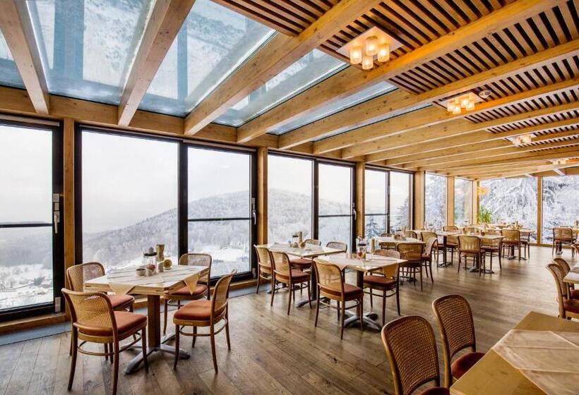 Отель Hubertusbaude