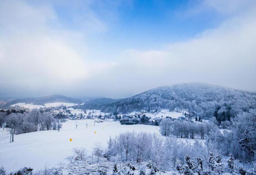 Отель Hubertusbaude