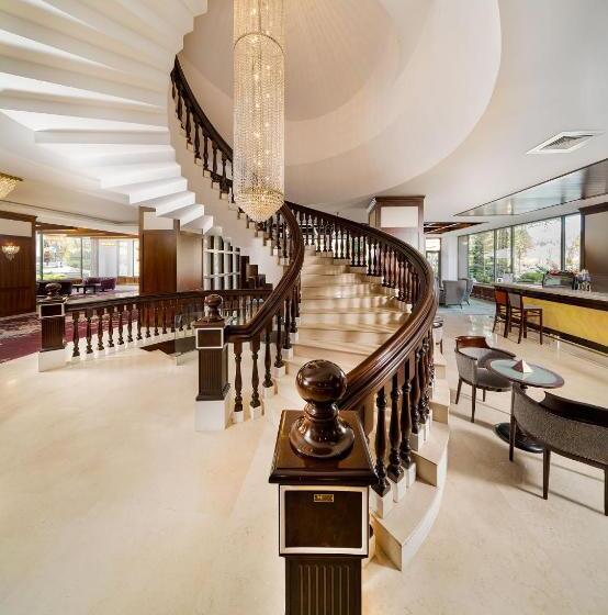 호텔 International