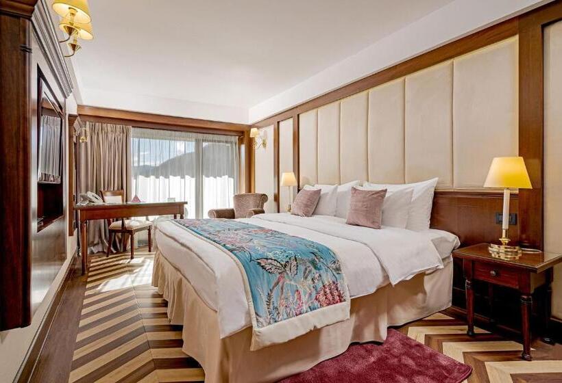 호텔 International