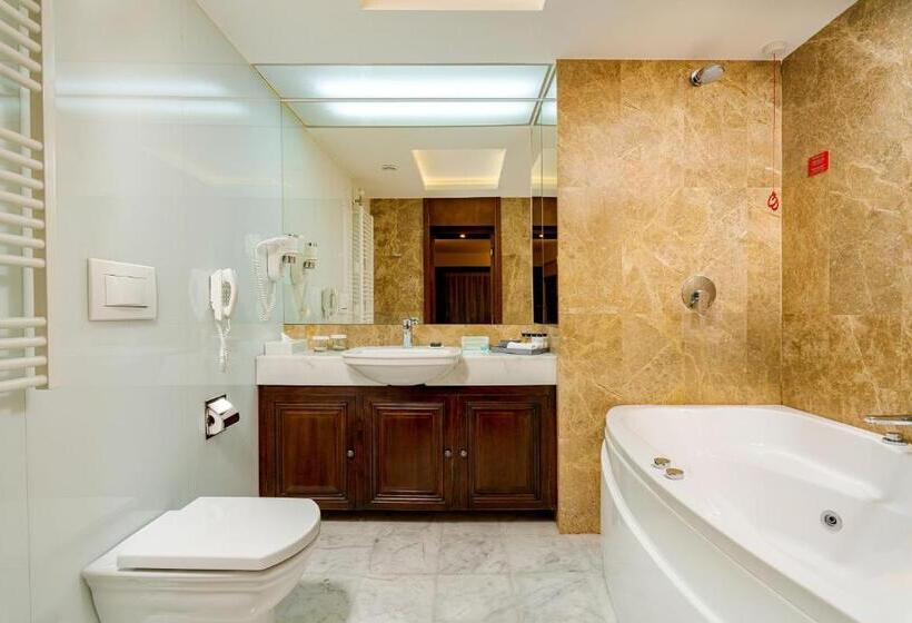 호텔 International