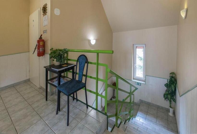 酒店 Irini Panzió