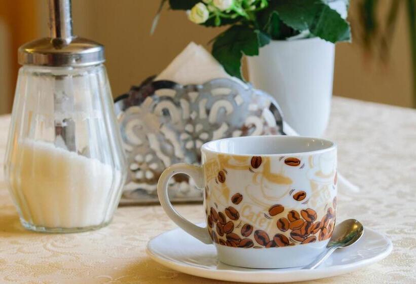 酒店 Irini Panzió