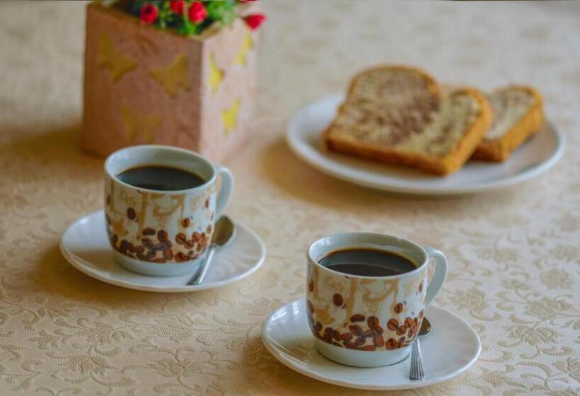 酒店 Irini Panzió