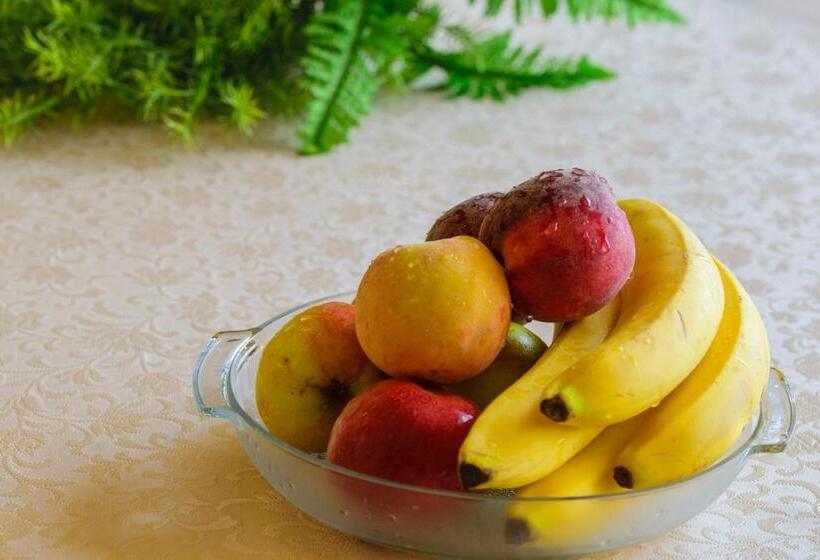 酒店 Irini Panzió