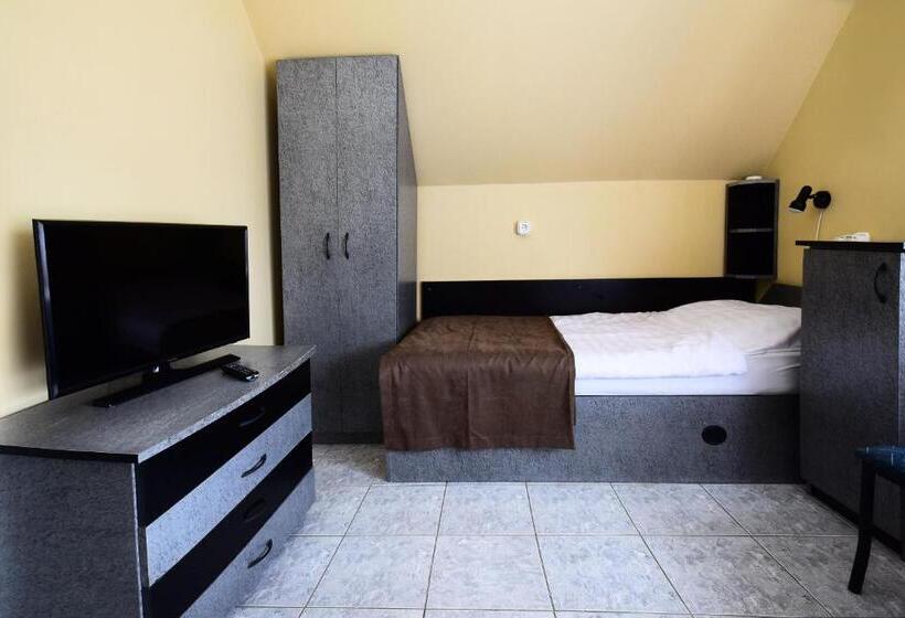 酒店 Irini Panzió