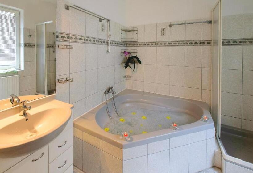 酒店 Irini Panzió