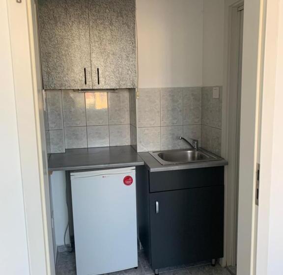 酒店 Irini Panzió