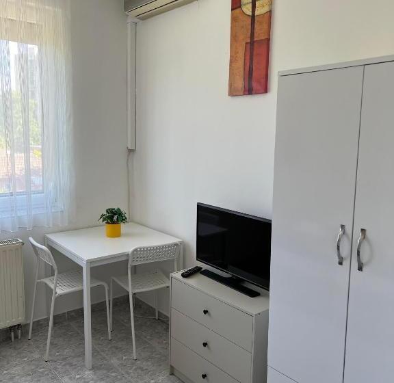 酒店 Irini Panzió