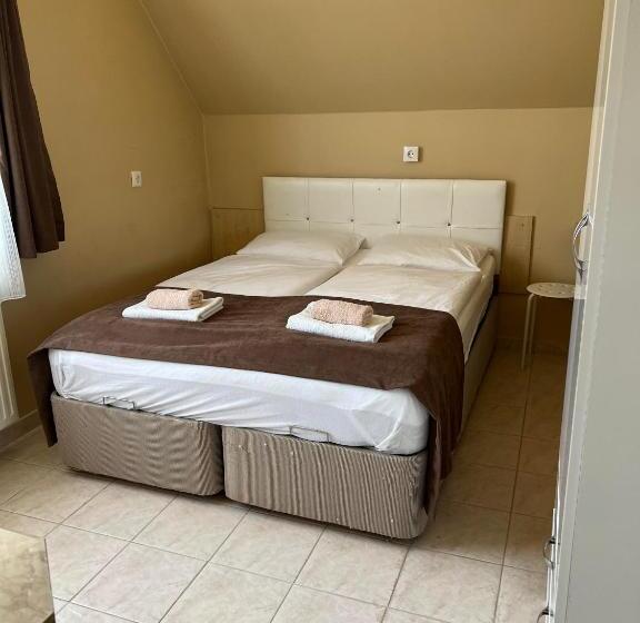 酒店 Irini Panzió