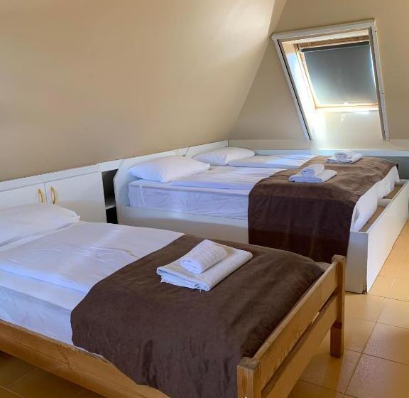 酒店 Irini Panzió