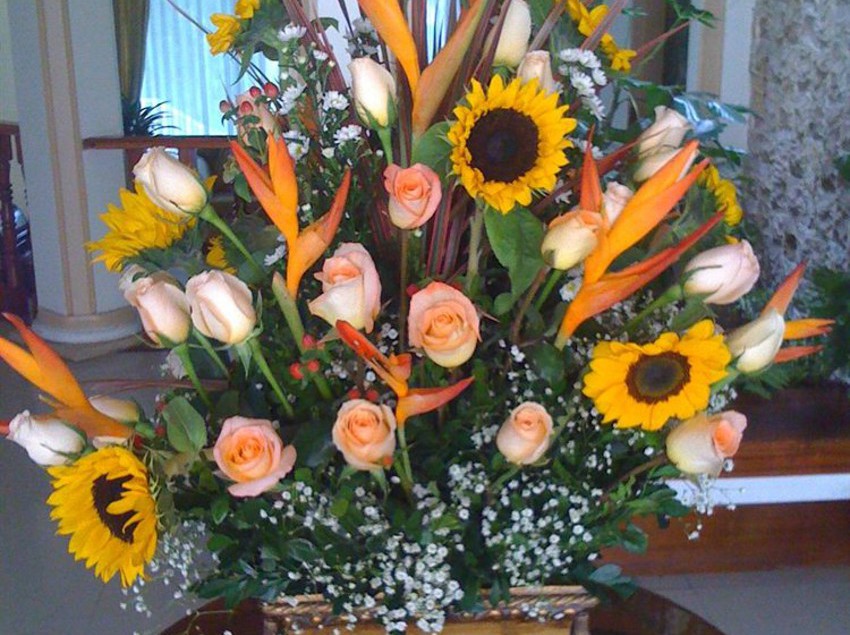 Отель Jardines Del Río