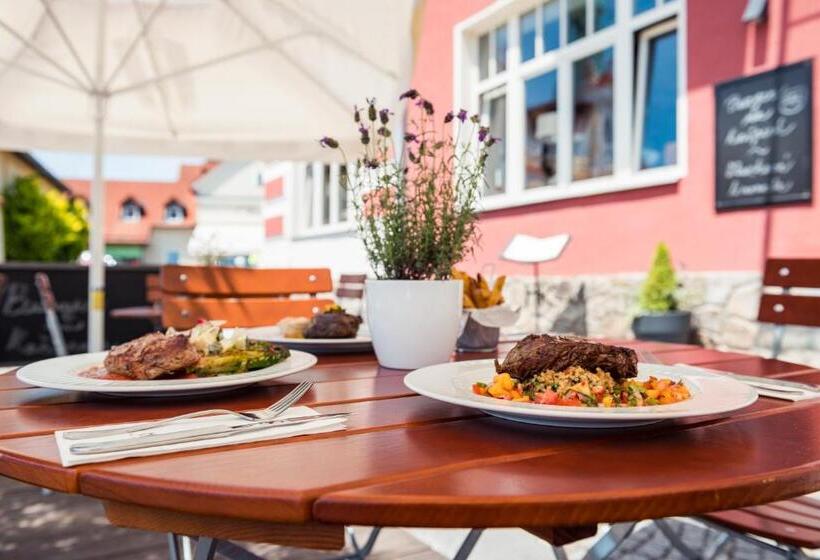 בית מלון כפרי Kašperk