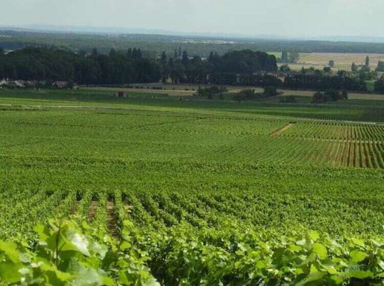 호텔 L Orée Des Vignes