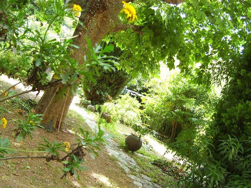 Отель Le Prado De St Raph